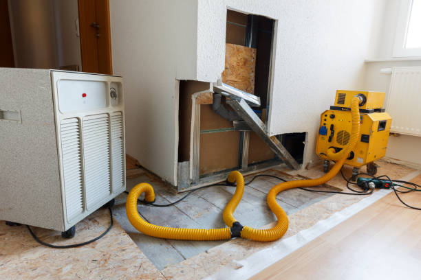 Best Environmental Consulting for Mold Prevention  in Bolindale, OH